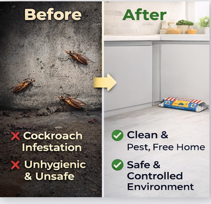 Cockroach Bait Sticky  Glue Traps -Insect Pest Control-pack of 10 with Attractant