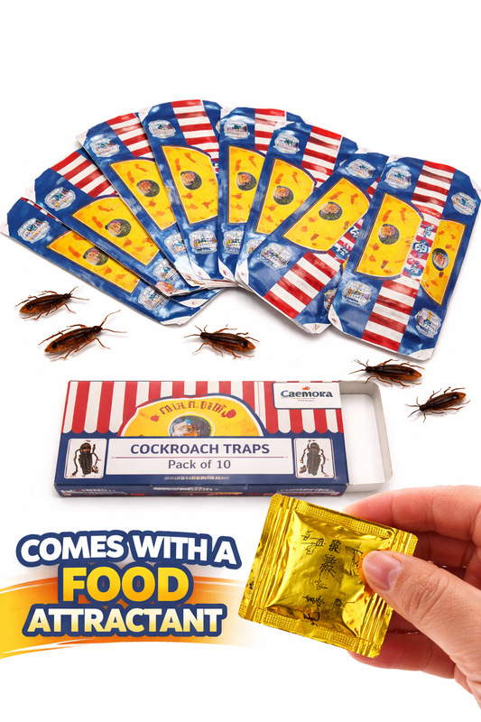 Cockroach Bait Sticky  Glue Traps -Insect Pest Control-pack of 10 with Attractant